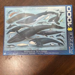 Whales And Dolphins Puzzle