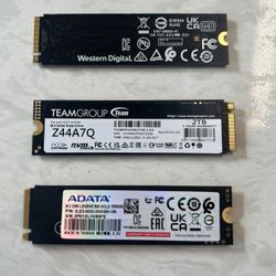 M.2 NVMe SSDs 