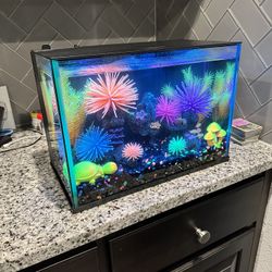 Fish Tank