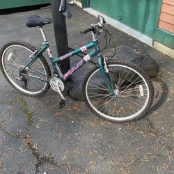 Girl’s Bicycle 