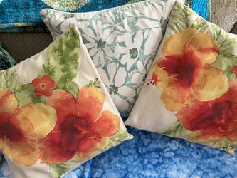 2 Beautiful Pillows $10