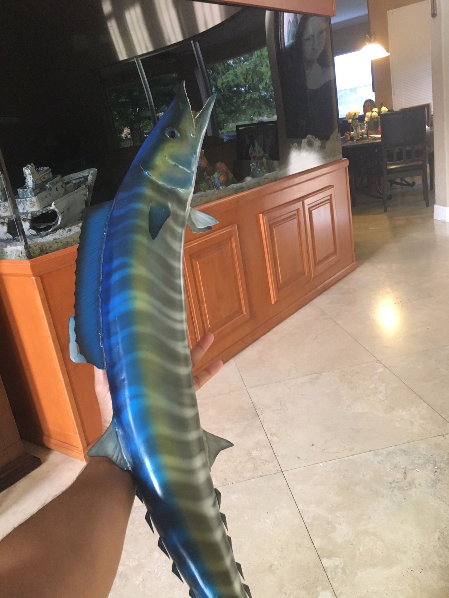 Beautiful 3 Ft Wahoo Fish Mount For Sale Taxidermy