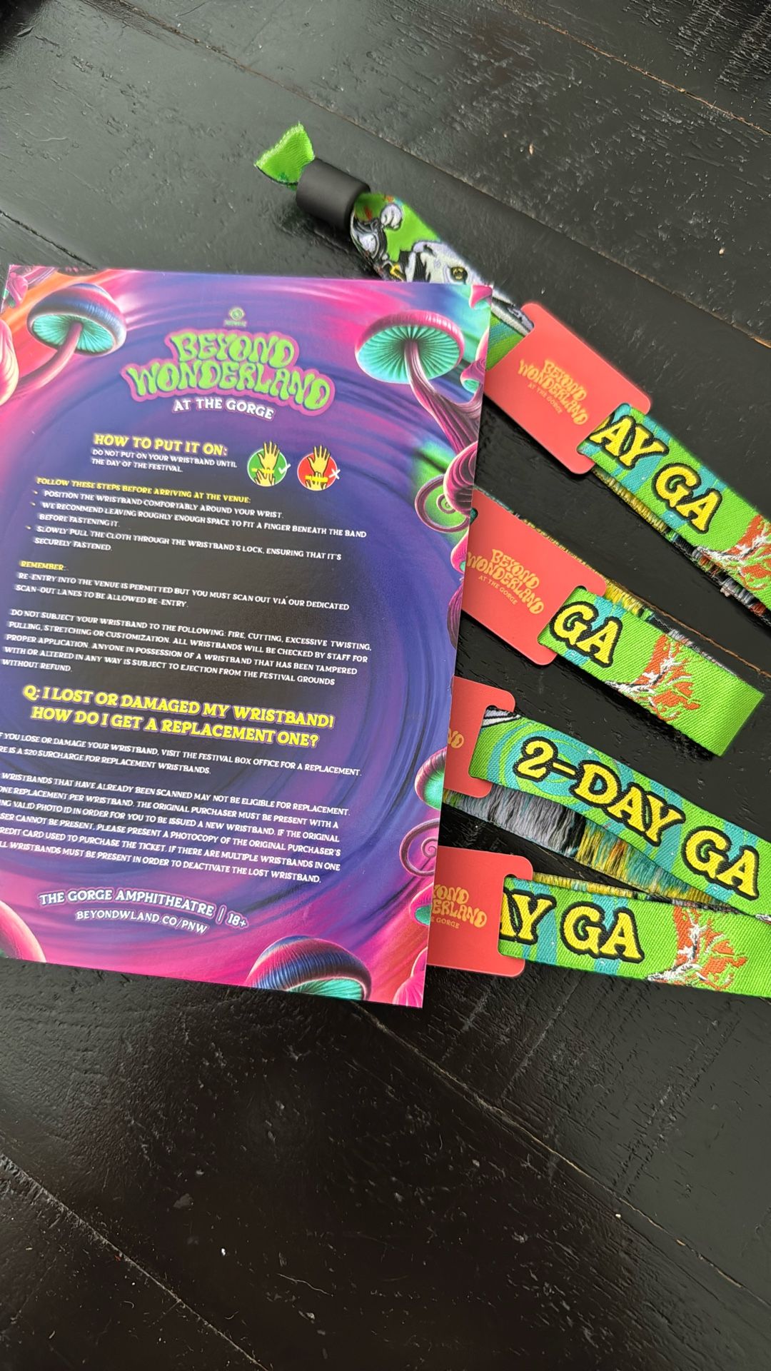 Beyond Wonderland