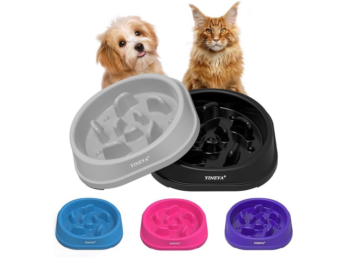 Slow Feeder Pet Bowls