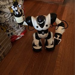 Robot