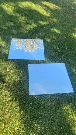 2 mirrors
