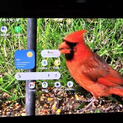 Samsung Tablet S10 Plus