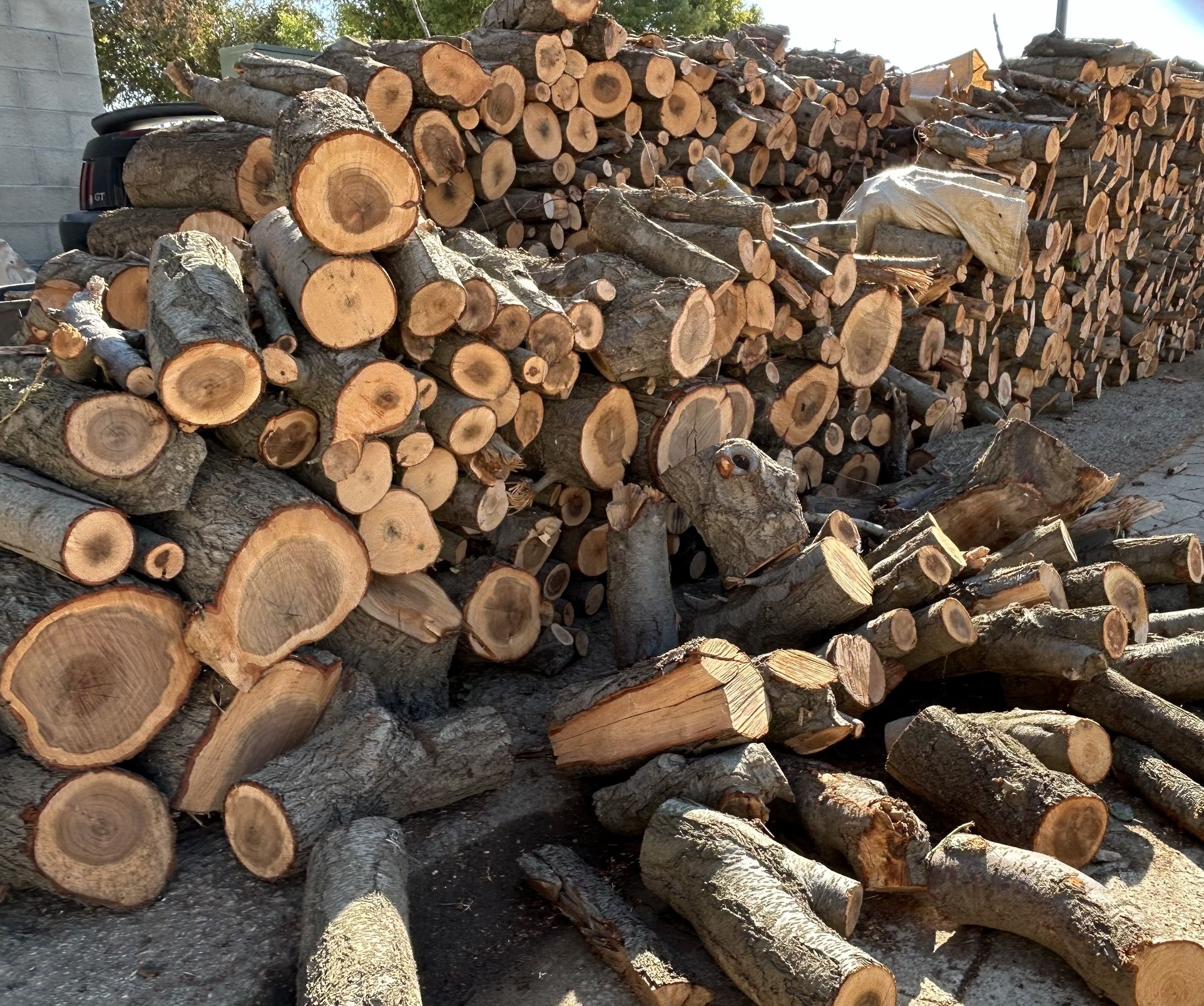 Firewood
