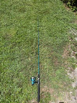 Fishing pole
