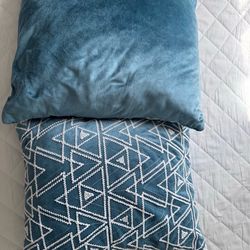 Pillows and blankets, everything for $30