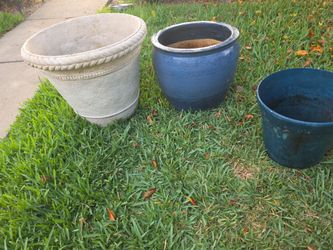 3 Different size Pots plants