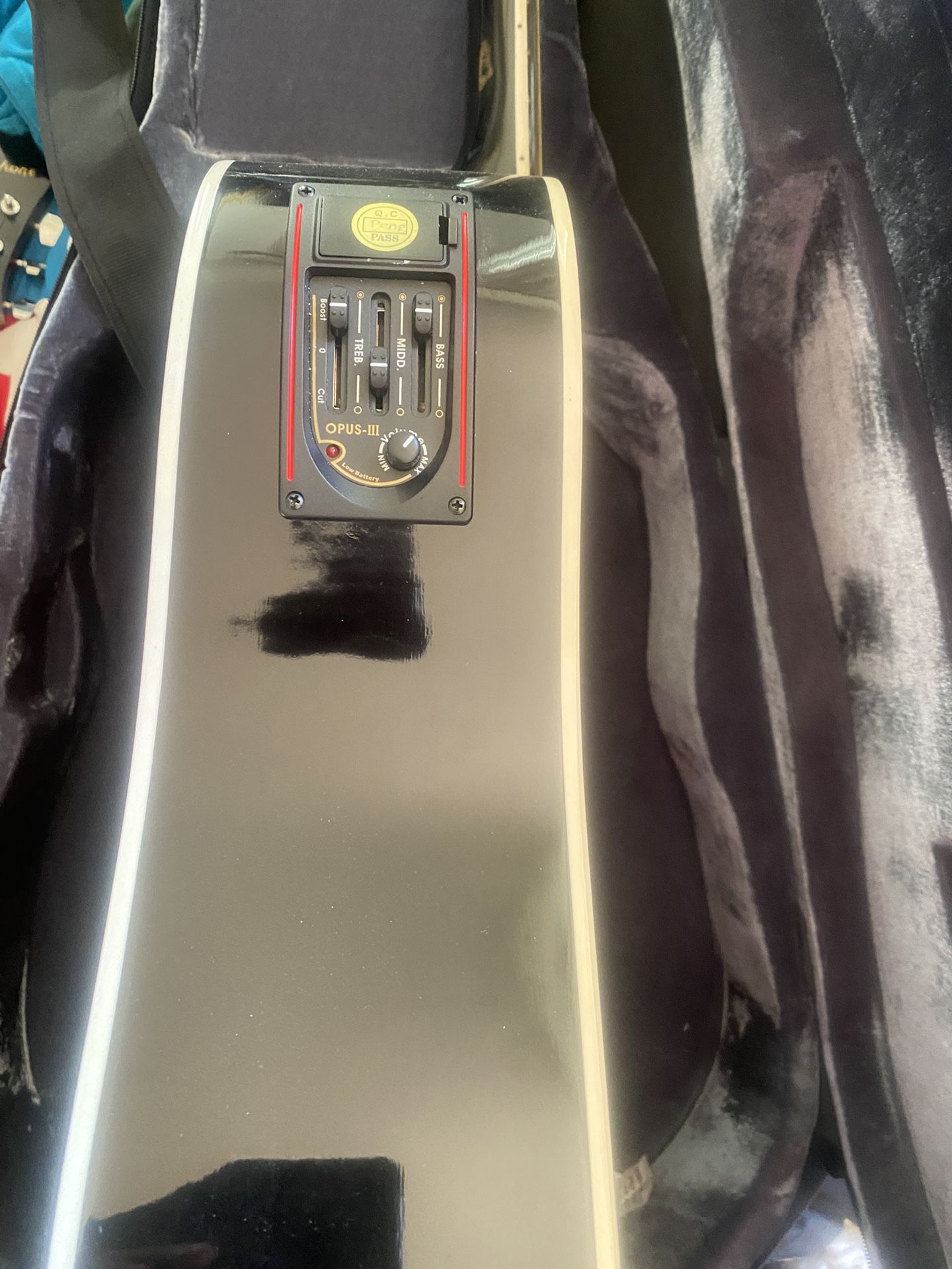 Electric & Acoustic Guitar W/leather Bag New