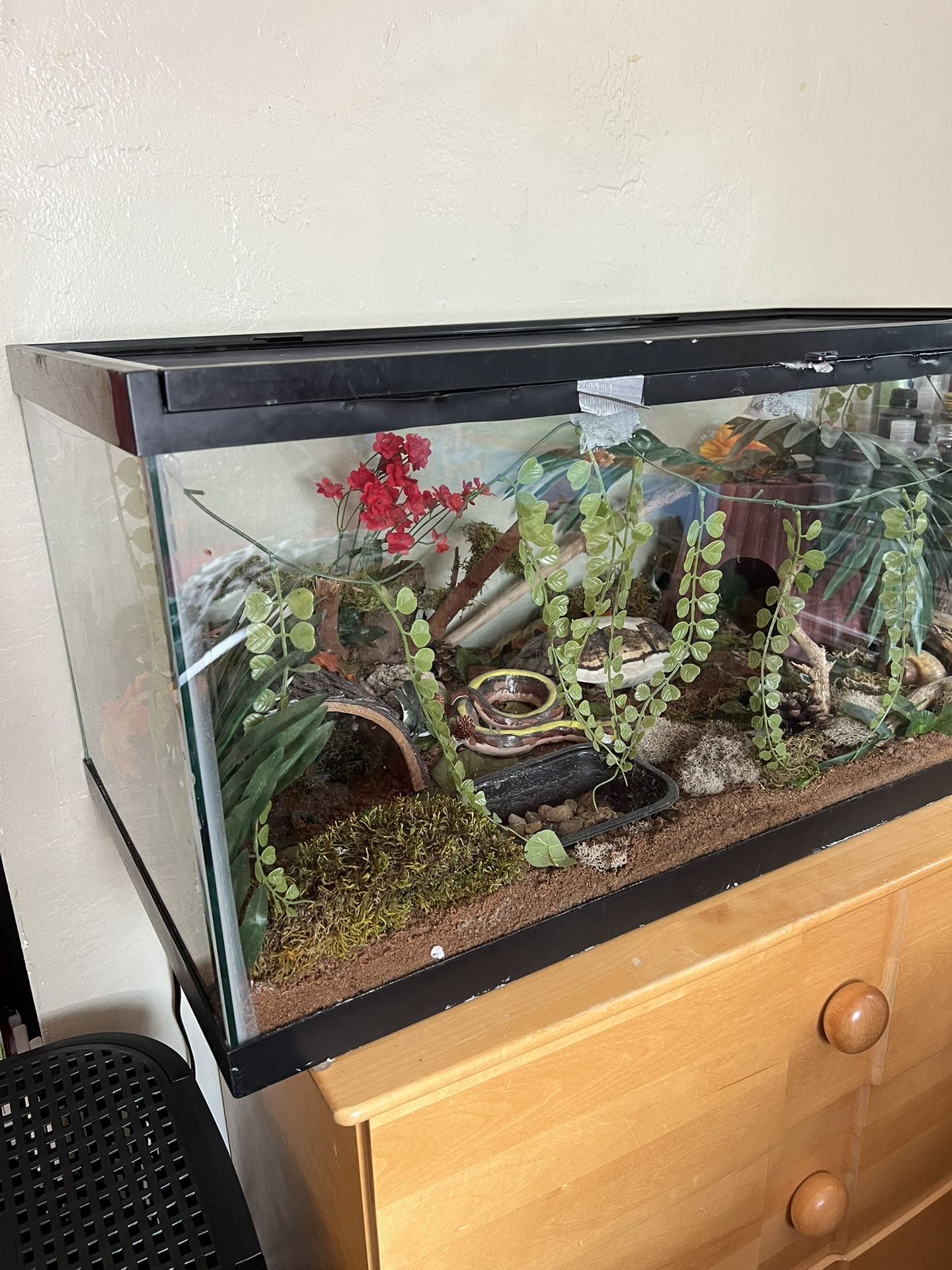 Reptile Enclosure