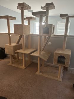 Cat Trees