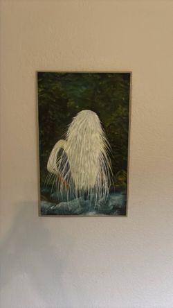 Egret picture