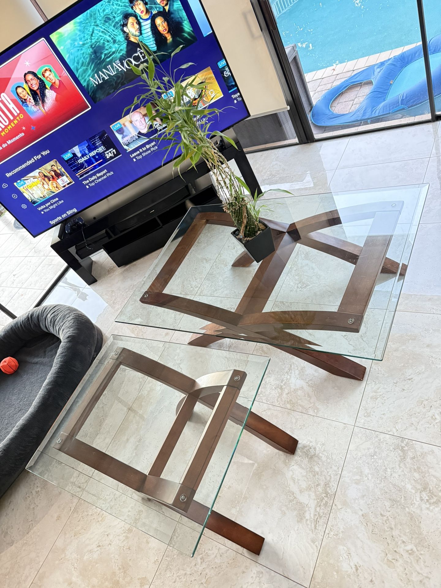Living Room Glass/Wood Table