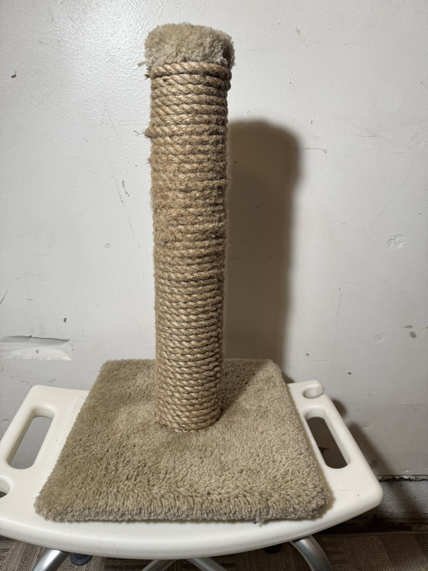 Cat TRHEE With SCRACHING Post
