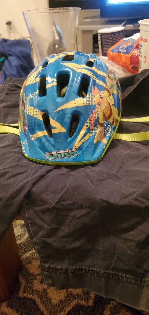 Ninja Turtle TURTLES