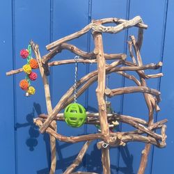 African Grey / Amazon Parrot Perch Tree - All Custom , Looks Great - Hard Durable Ribbon Wood Lasts For Years !! 👍🏼👍🏼
