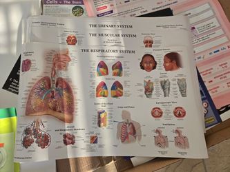 Biology & Chemistry posters for class decoration