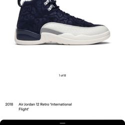 Jordan 12     (Size 15)