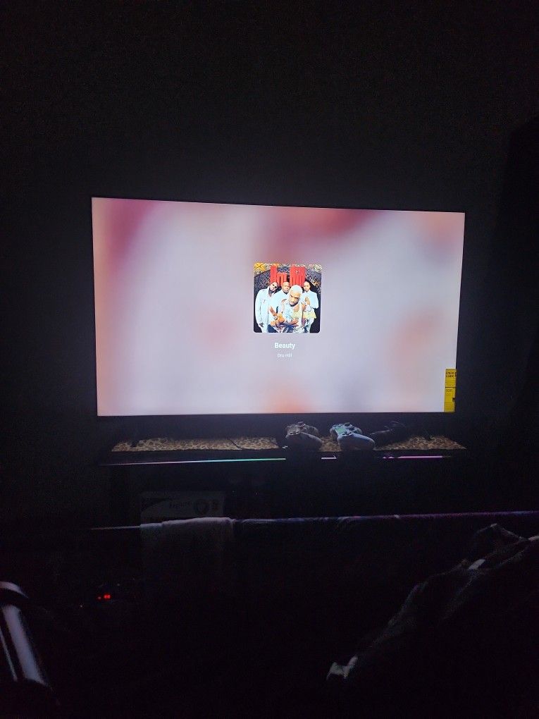 Vizio 50 Inch