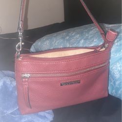 Dana Buchman Small Purse 