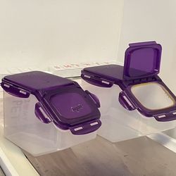 2 Purple Containers