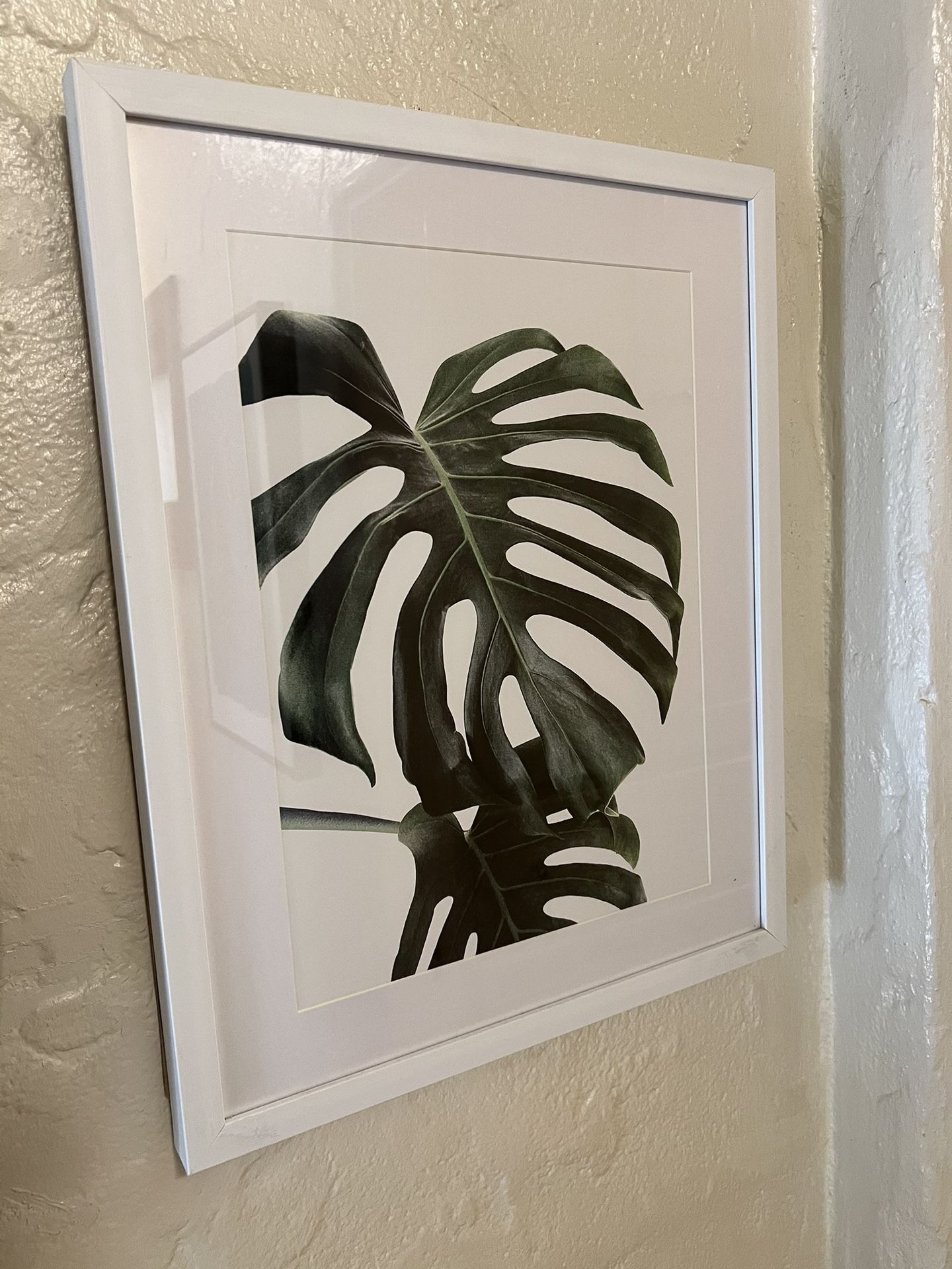 Wall Art - Plant