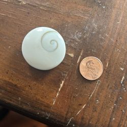 Shiva Shell