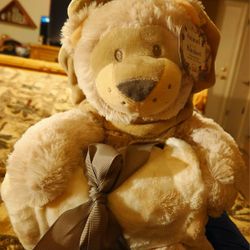 Silver one sales blanket and bear