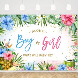 Aloha Gender Reveal Banner