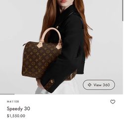 Louis Vuitton Bag ( read below )