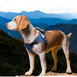 🐾 Dog No Pull Harness and Leash Set with Handle, New