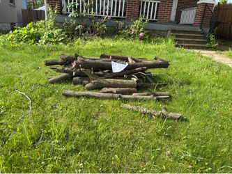 Free wood