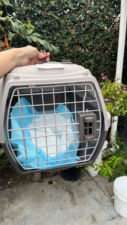 Pet carrier