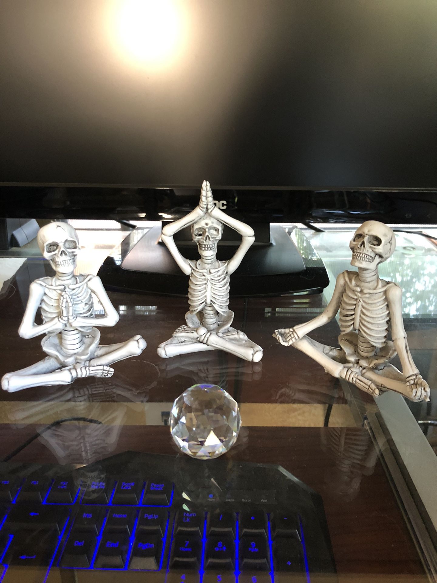 Yogi Skeleton