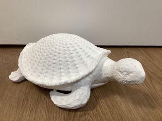 White Turtle 