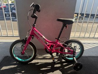 Guardian Bike 14 inch
