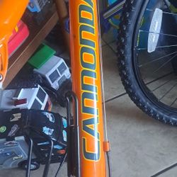 Cannondale Bike