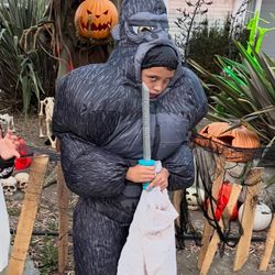 Child’s Inflatable Gorilla Costume One Size 