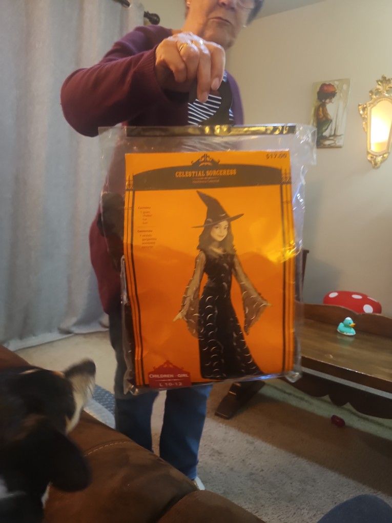 Halloween Gown Only, No Hat.
