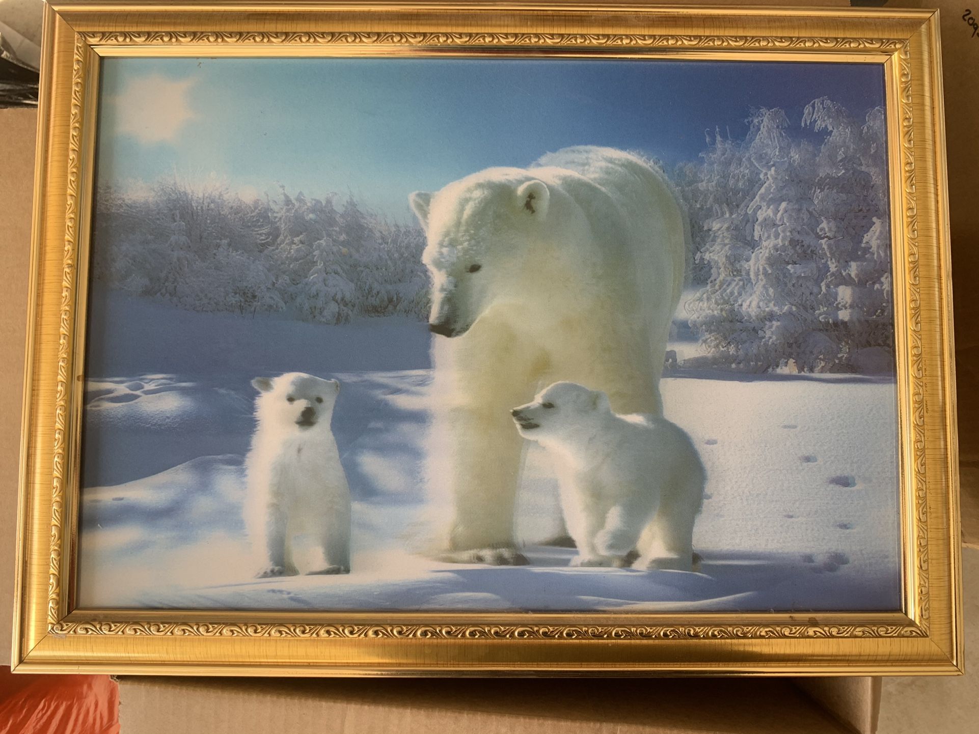 Polar Bear 3D Picture Frame
