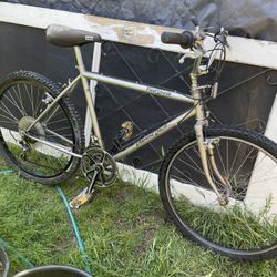 Vintage Diamond Back Mountain Bike 