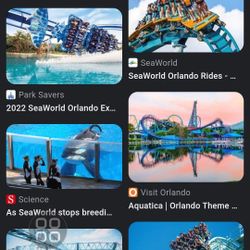 $45 cash No Fees Flat Solo 45 Seaworld 🩵💙🩵🩵