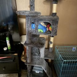 Cat Tower