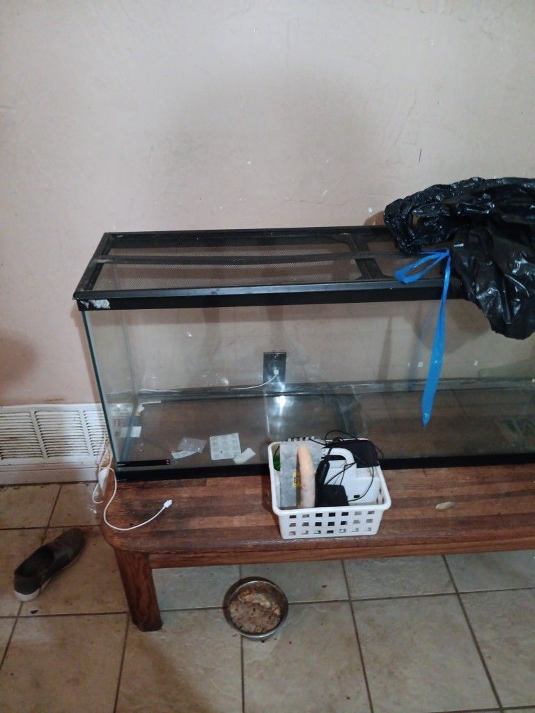 Fish Tank