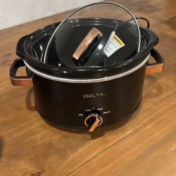 Delta Slow Cooker