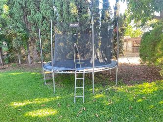 Trampoline.