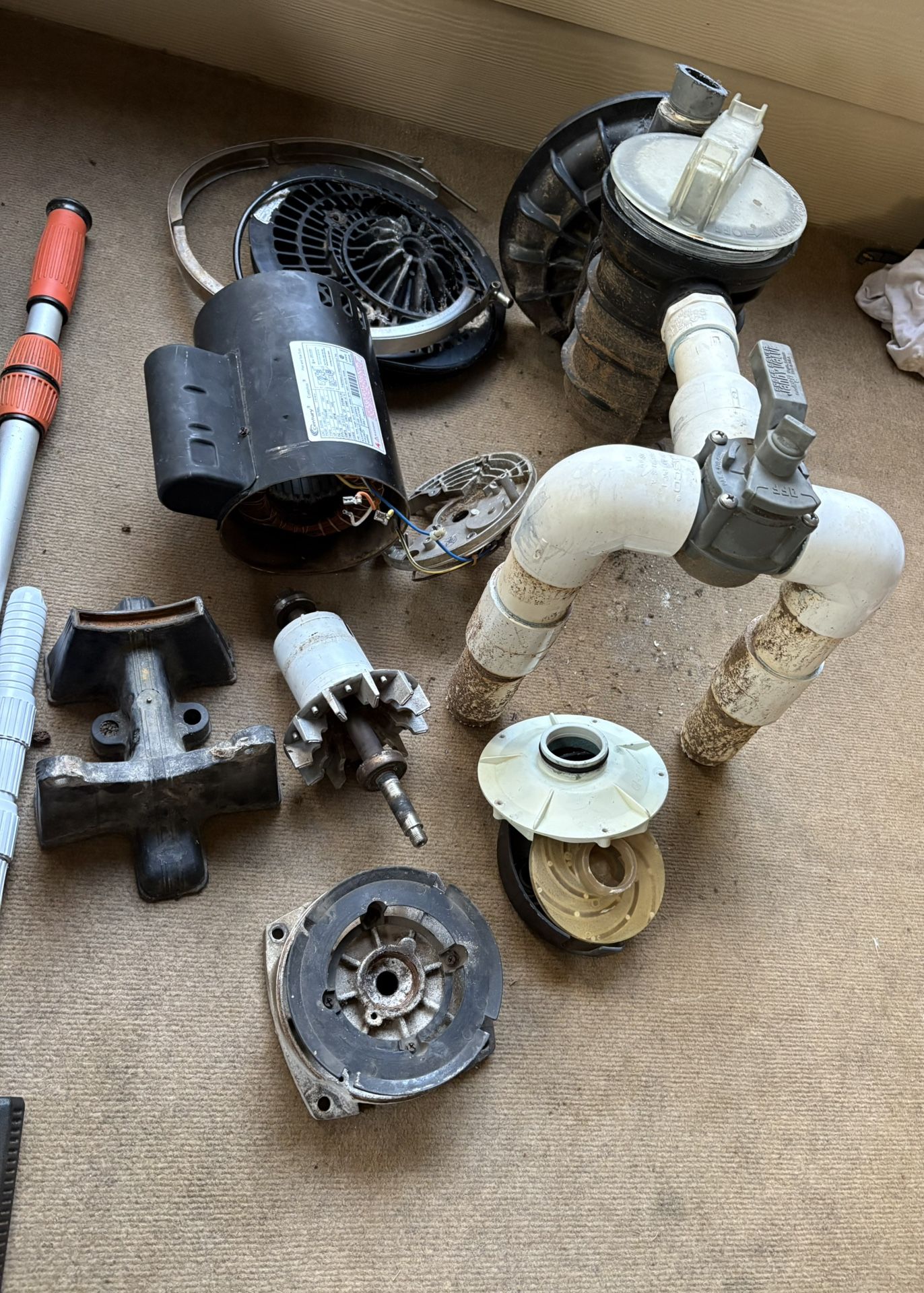 Pool Pump With Motor